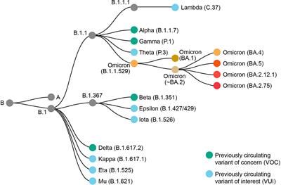 SARS-CoV-2 Omicron variants: burden of disease, impact on vaccine effectiveness and need for variant-adapted vaccines